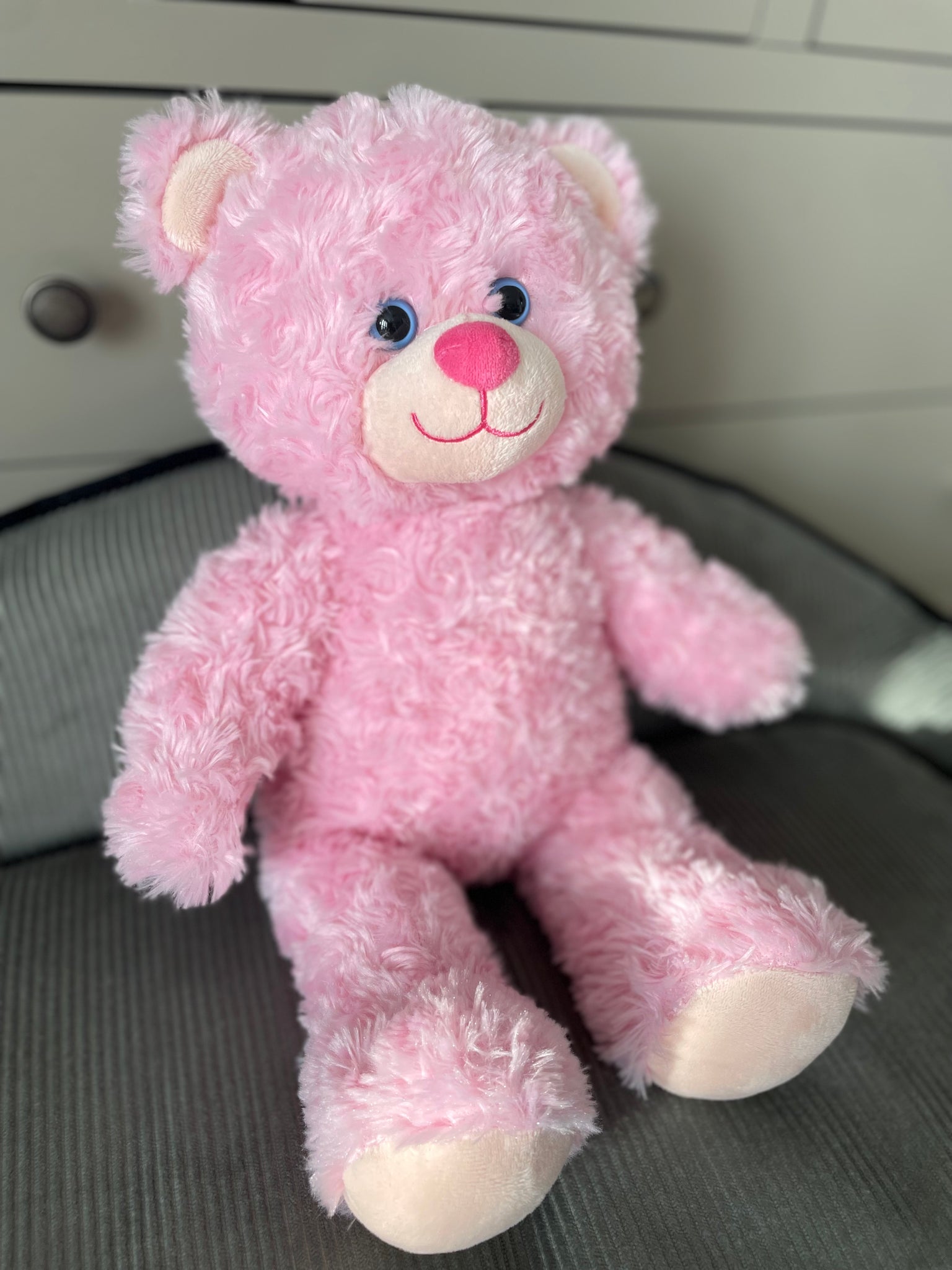 Pinky Bear