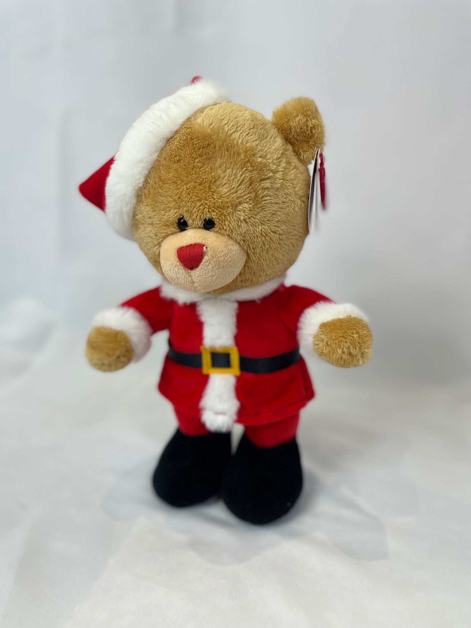 Santa Bear